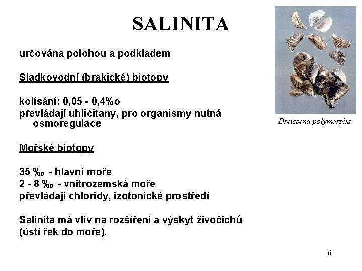 SALINITA určována polohou a podkladem Sladkovodní (brakické) biotopy kolísání: 0, 05 - 0, 4%o