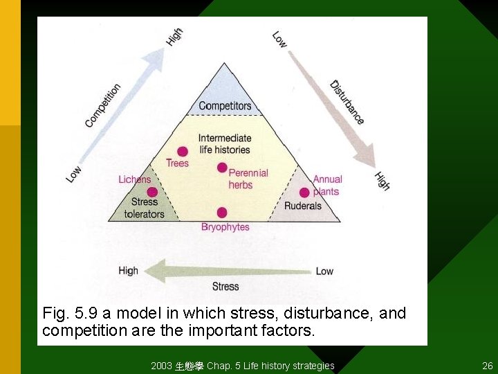 Fig. 5. 9 a model in which stress, disturbance, and competition are the important