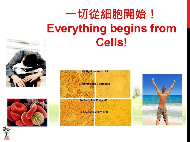 一切從細胞開始！ Everything begins from Cells! 