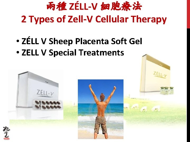 兩種 ZÉLL-V 細胞療法 2 Types of Zell-V Cellular Therapy • ZÉLL V Sheep Placenta