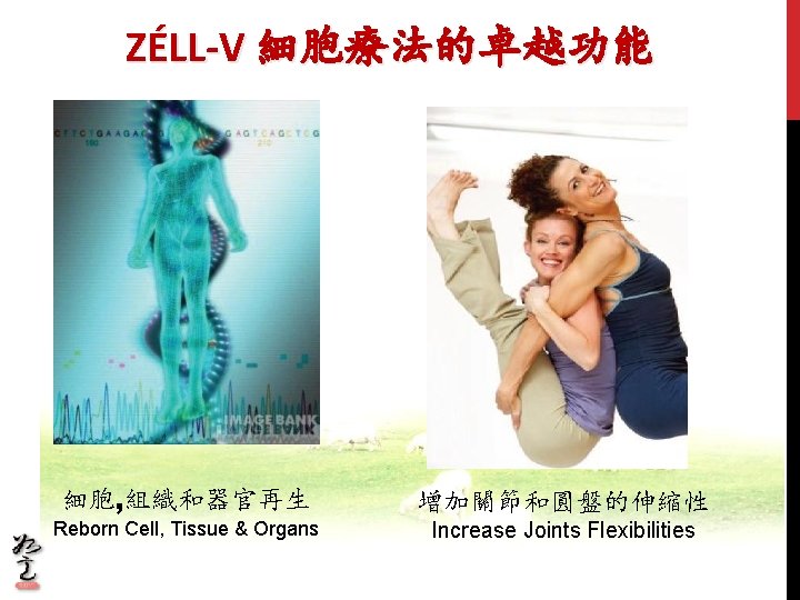 ZÉLL-V 細胞療法的卓越功能 細胞, 組織和器官再生 增加關節和圓盤的伸縮性 Reborn Cell, Tissue & Organs Increase Joints Flexibilities ZÉLL-V 細胞療法的卓越功能 細胞, 組織和器官再生 增加關節和圓盤的伸縮性 Reborn Cell, Tissue & Organs Increase Joints Flexibilities
