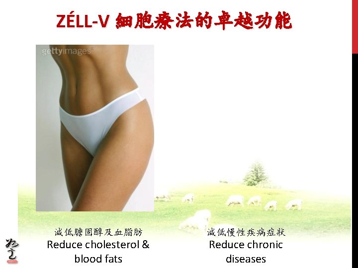 ZÉLL-V 細胞療法的卓越功能 減低膽固醇及血脂肪 減低慢性疾病症狀 Reduce cholesterol & blood fats Reduce chronic diseases ZÉLL-V 細胞療法的卓越功能 減低膽固醇及血脂肪 減低慢性疾病症狀 Reduce cholesterol & blood fats Reduce chronic diseases