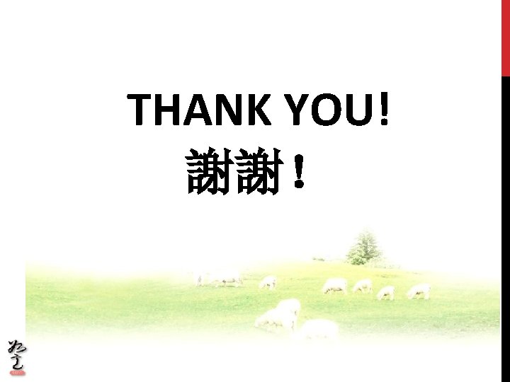 THANK YOU! 謝謝! THANK YOU! 謝謝!