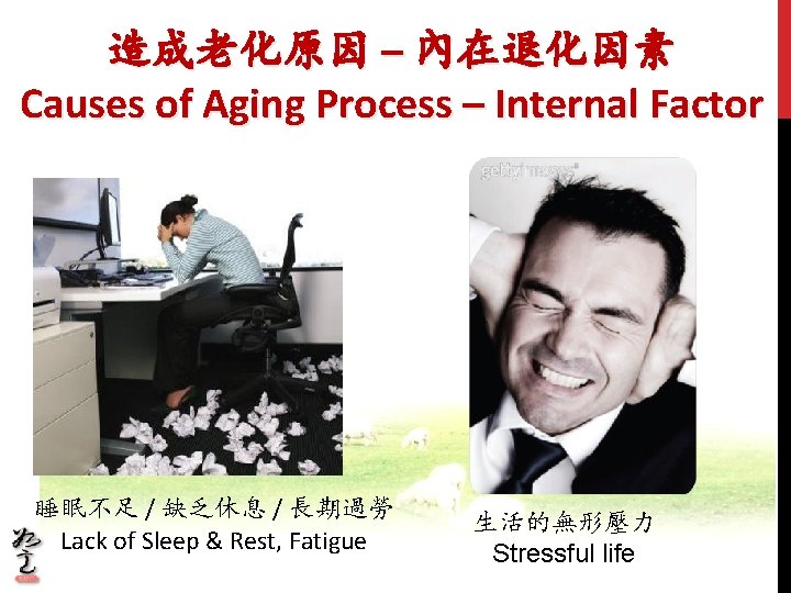 造成老化原因 – 內在退化因素 Causes of Aging Process – Internal Factor 睡眠不足 / 缺乏休息 /