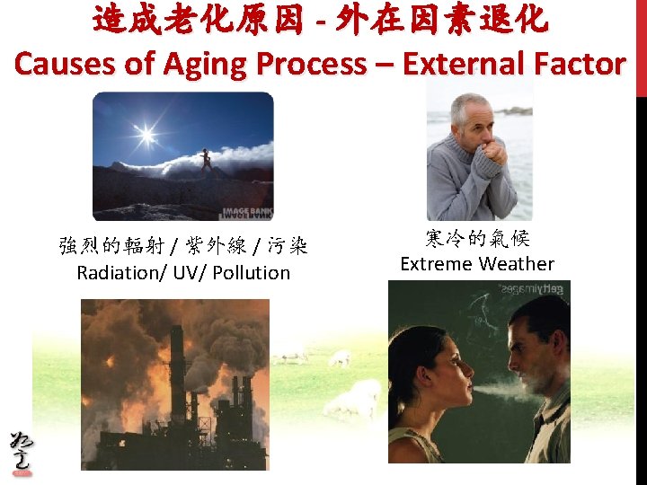 造成老化原因 - 外在因素退化 Causes of Aging Process – External Factor 強烈的輻射 / 紫外線 / 造成老化原因 - 外在因素退化 Causes of Aging Process – External Factor 強烈的輻射 / 紫外線 /