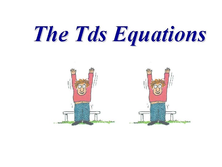 The Tds Equations 