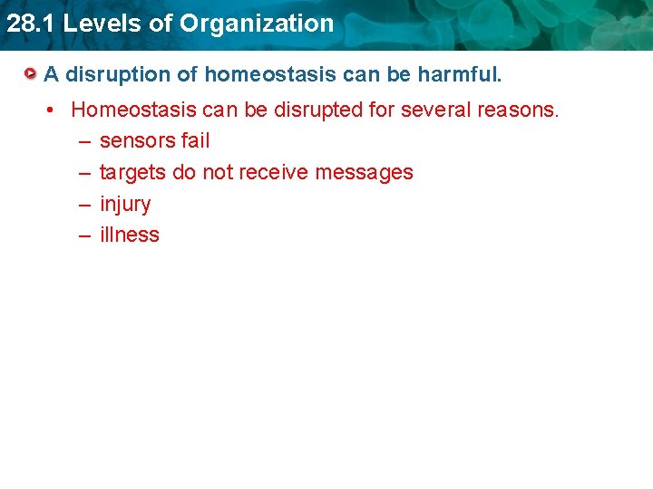 28. 1 Levels of Organization A disruption of homeostasis can be harmful. • Homeostasis