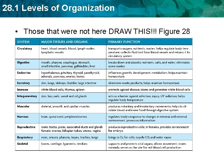 28. 1 Levels of Organization • Those that were not here DRAW THIS!!! Figure