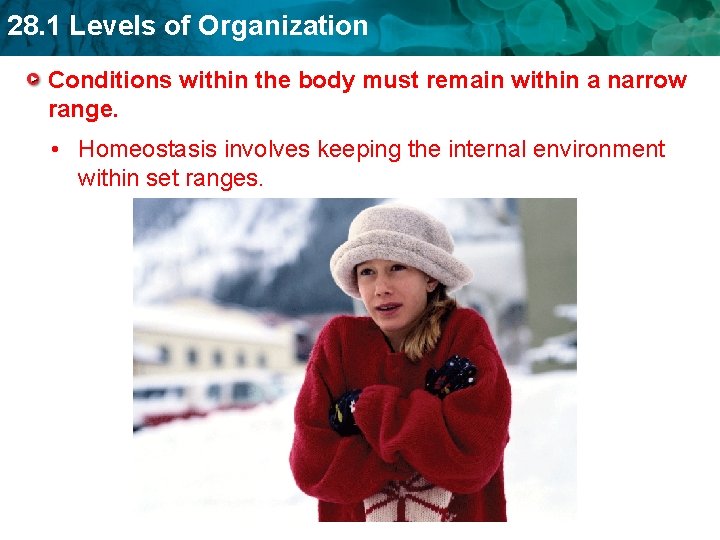 28. 1 Levels of Organization Conditions within the body must remain within a narrow