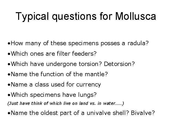 Typical questions for Mollusca • How many of these specimens posses a radula? •