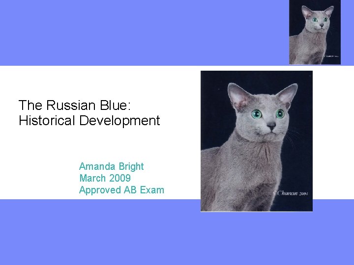 The Russian Blue: Historical Development Amanda Bright March 2009 Approved AB Exam 