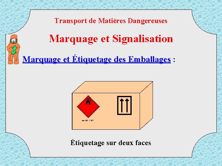 Transport de Matières Dangereuses TM D Marquage et Signalisation Marquage et Étiquetage des Emballages