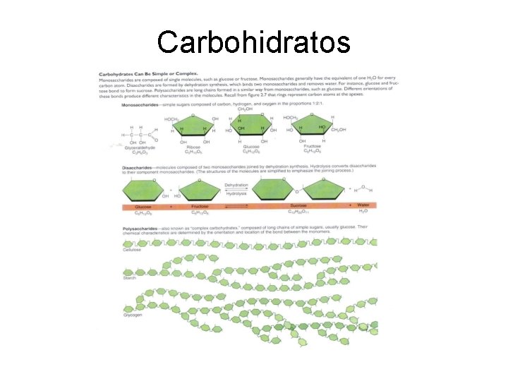 Carbohidratos 