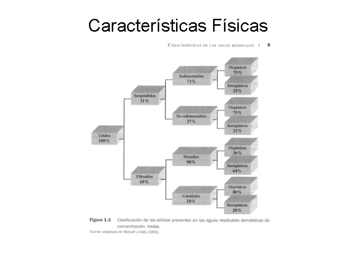 Características Físicas 