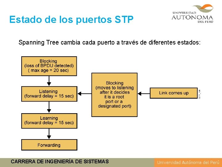 Estado de los puertos STP Spanning Tree cambia cada puerto a través de diferentes