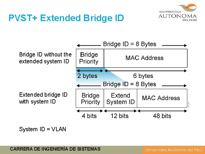 PVST+ Extended Bridge ID without the extended system ID Extended bridge ID with system