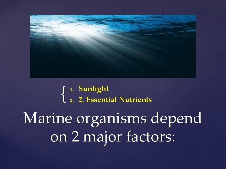 { 1. 2. Sunlight 2. Essential Nutrients Marine organisms depend on 2 major factors: