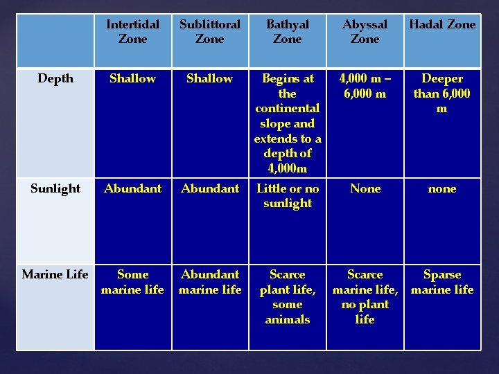 Intertidal Zone Sublittoral Zone Bathyal Zone Abyssal Zone Hadal Zone Depth Shallow Begins at