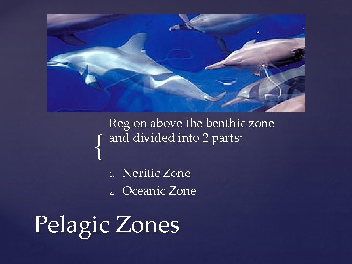 { Region above the benthic zone and divided into 2 parts: 1. 2. Neritic