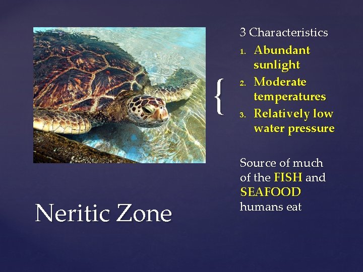 { Neritic Zone 3 Characteristics 1. Abundant sunlight 2. Moderate temperatures 3. Relatively low