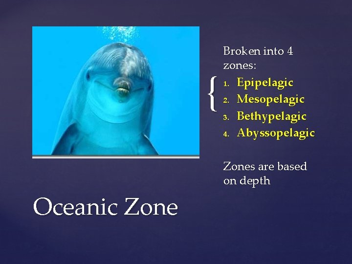 { Broken into 4 zones: 1. Epipelagic 2. Mesopelagic 3. Bethypelagic 4. Abyssopelagic Zones