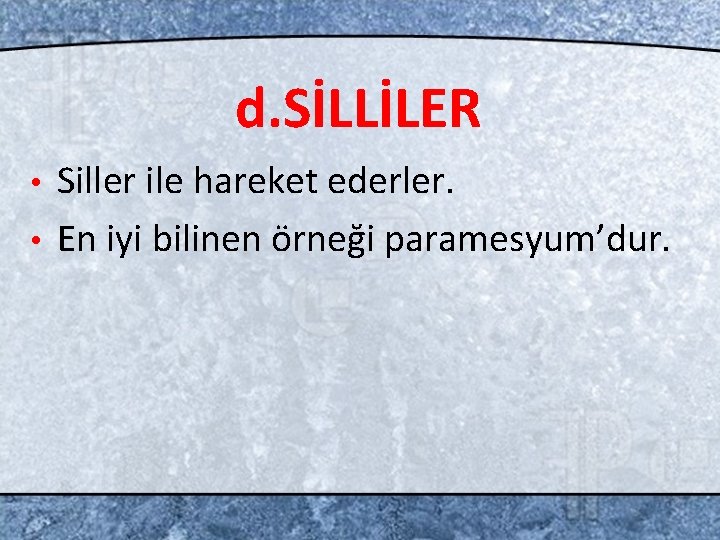 d. SİLLİLER Siller ile hareket ederler. • En iyi bilinen örneği paramesyum’dur. • 