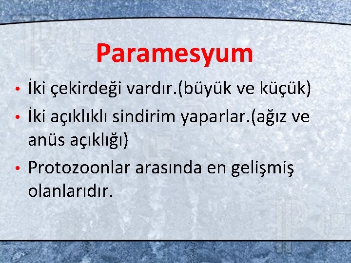 Paramesyum İki çekirdeği vardır. (büyük ve küçük) • İki açıklıklı sindirim yaparlar. (ağız ve