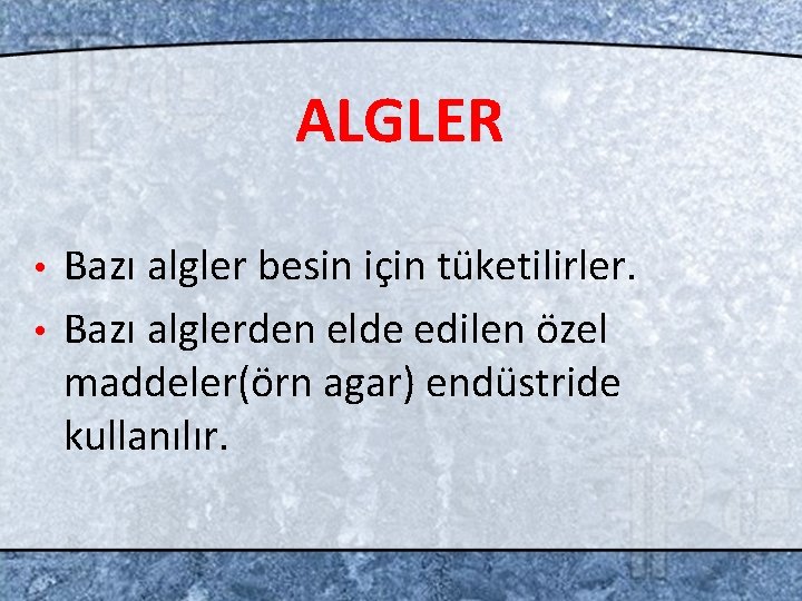 ALGLER Bazı algler besin için tüketilirler. • Bazı alglerden elde edilen özel maddeler(örn agar)