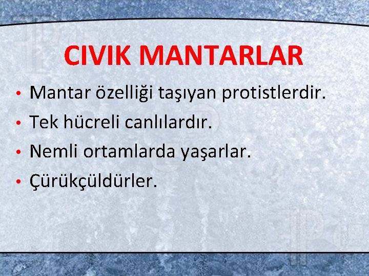 CIVIK MANTARLAR Mantar özelliği taşıyan protistlerdir. • Tek hücreli canlılardır. • Nemli ortamlarda yaşarlar.