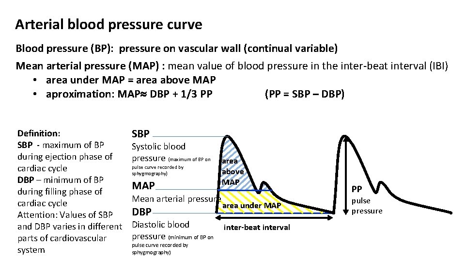 Arterial blood pressure curve Blood pressure (BP): pressure on vascular wall (continual variable) Mean