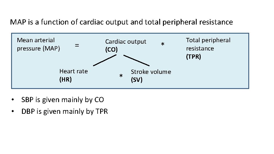 MAP is a function of cardiac output and total peripheral resistance Mean arterial pressure