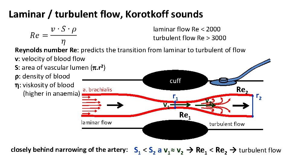 Laminar / turbulent flow, Korotkoff sounds laminar flow Re < 2000 turbulent flow Re