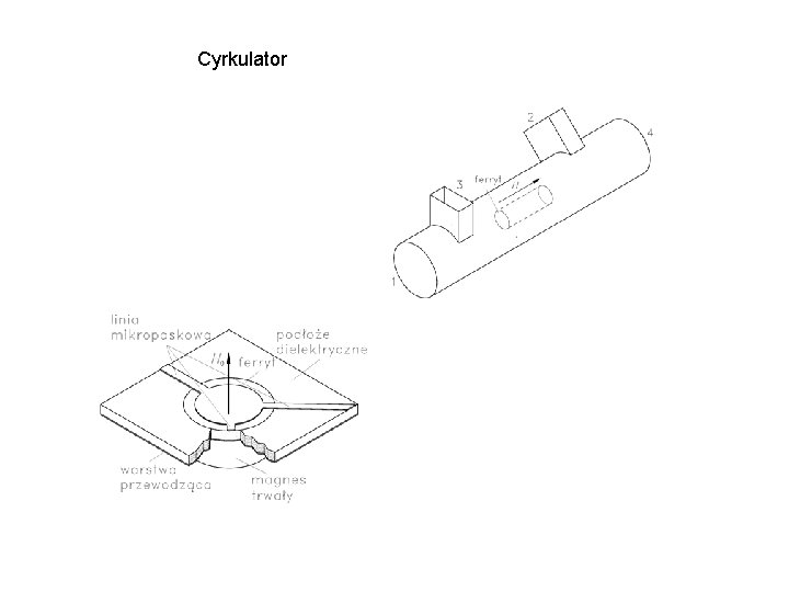 Cyrkulator 