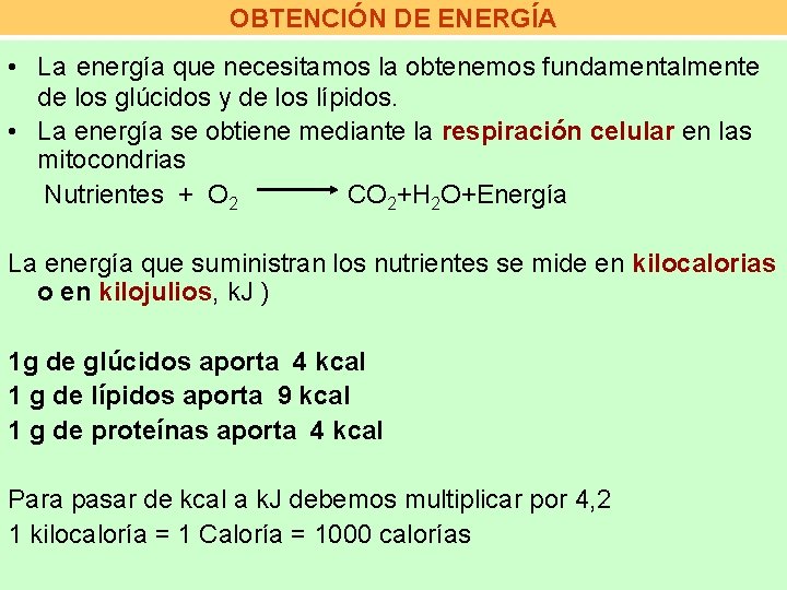 OBTENCIÓN DE ENERGÍA • La energía que necesitamos la obtenemos fundamentalmente de los glúcidos