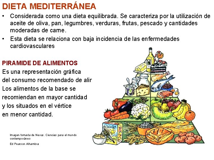 DIETA MEDITERRÁNEA • Considerada como una dieta equilibrada. Se caracteriza por la utilización de