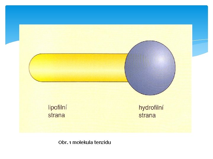 Obr. 1 molekula tenzidu 