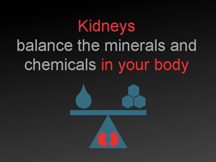 Kidneys balance the minerals and chemicals in your body 