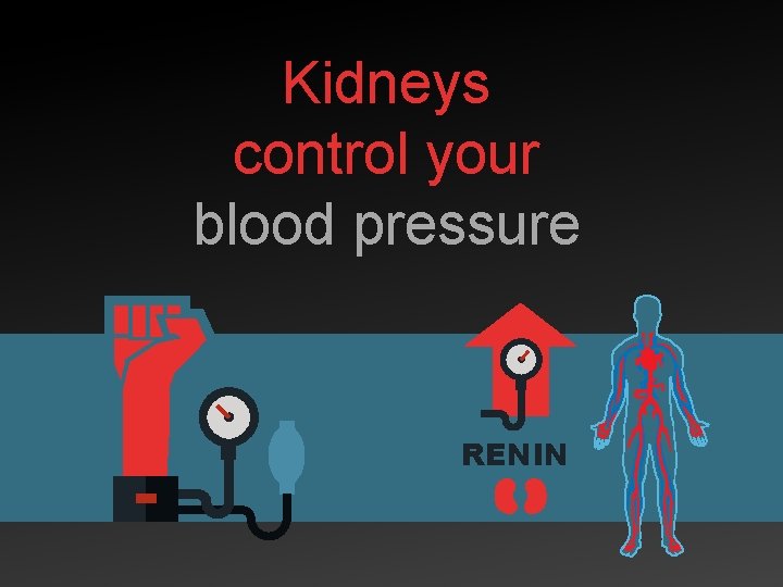 Kidneys control your blood pressure RENIN 