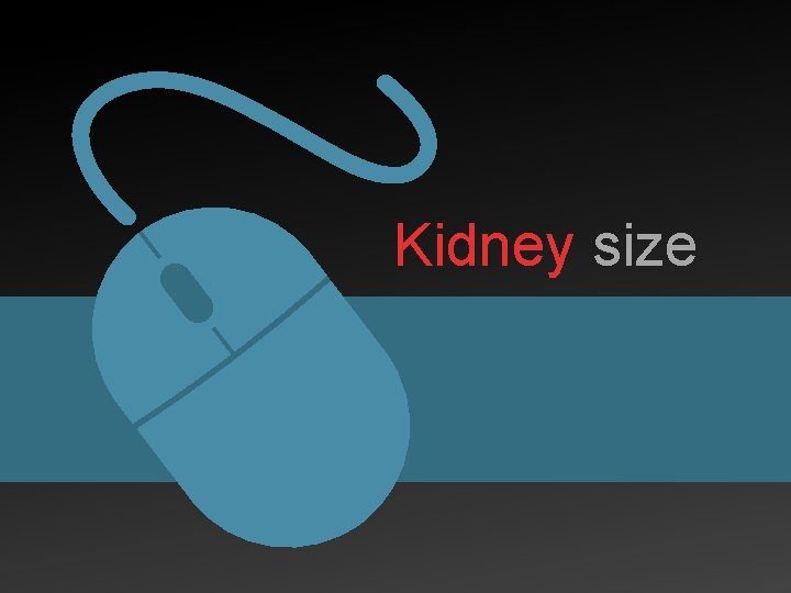 Kidney size 