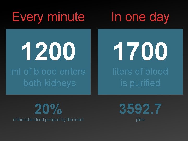 Every minute In one day 1200 1700 ml of blood enters both kidneys liters