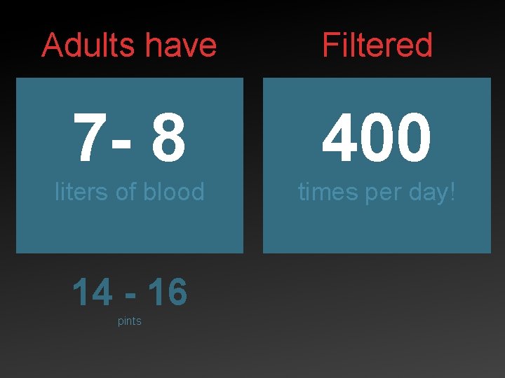Adults have Filtered 7 - 8 400 liters of blood times per day! 14