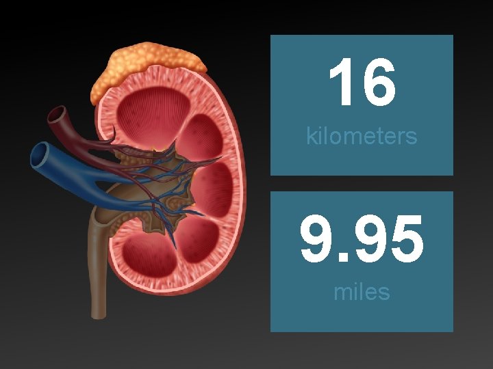 16 kilometers 9. 95 miles 