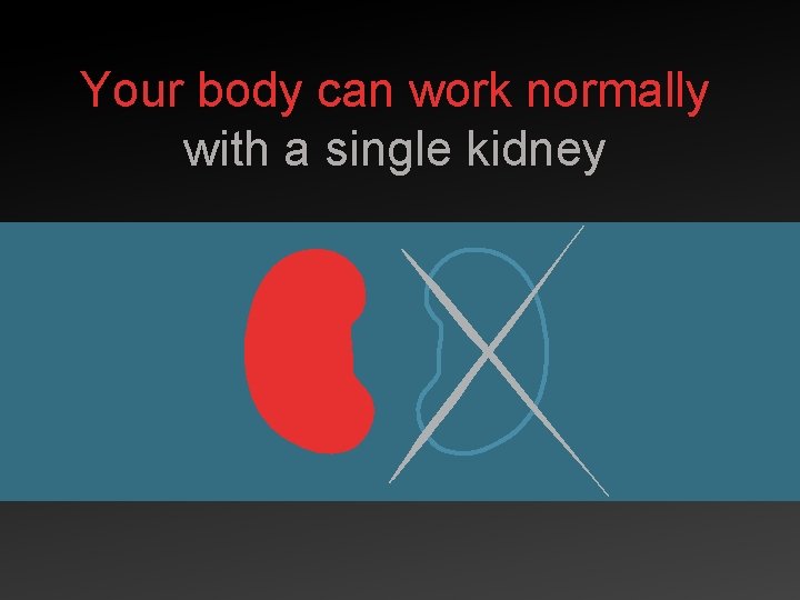 Your body can work normally with a single kidney 