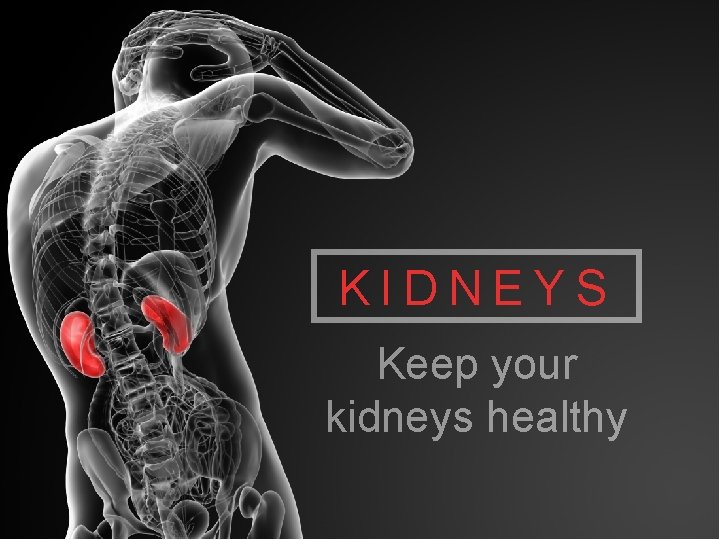 KIDNEYS Keep your kidneys healthy 