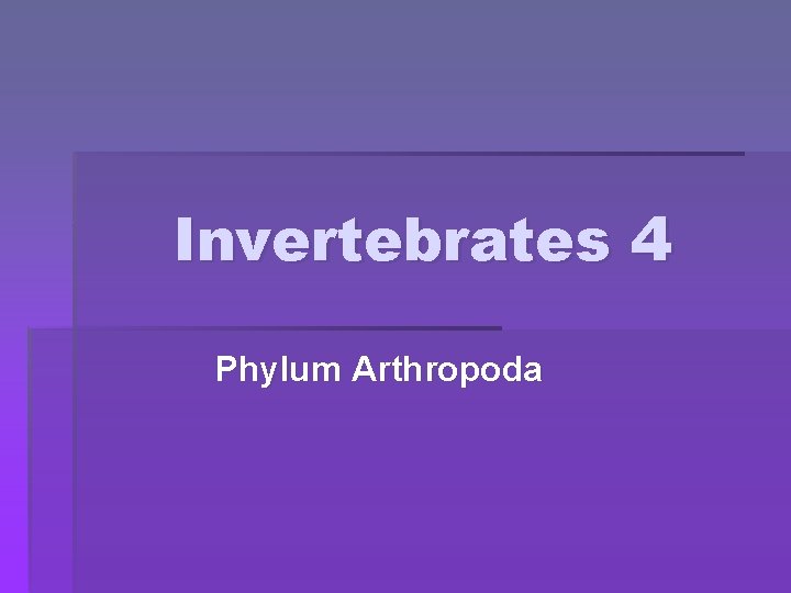 Invertebrates 4 Phylum Arthropoda 