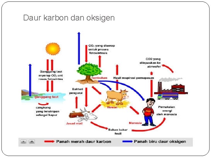 Daur karbon dan oksigen 