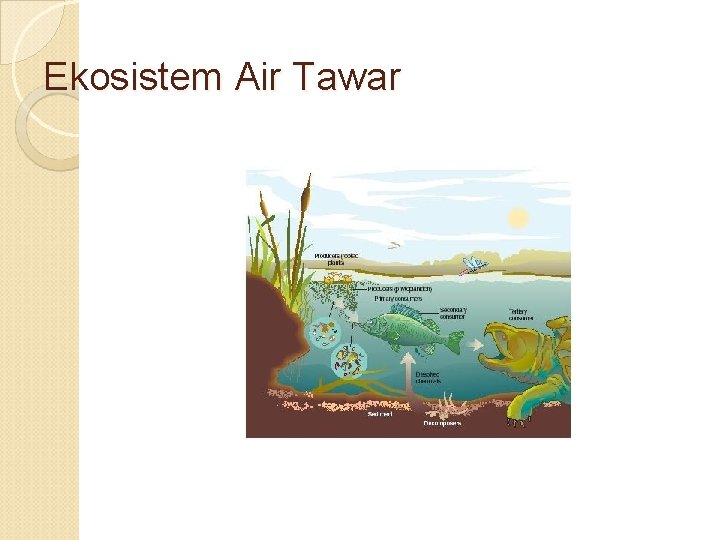 Ekosistem Air Tawar 