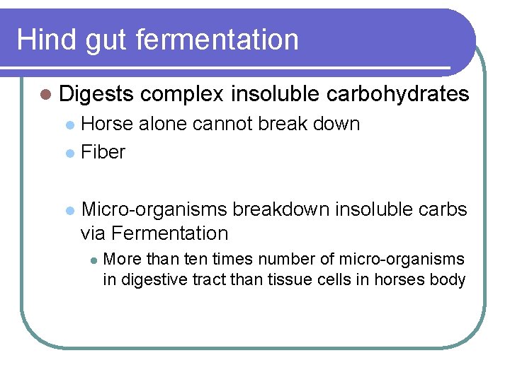Hind gut fermentation l Digests complex insoluble carbohydrates Horse alone cannot break down l