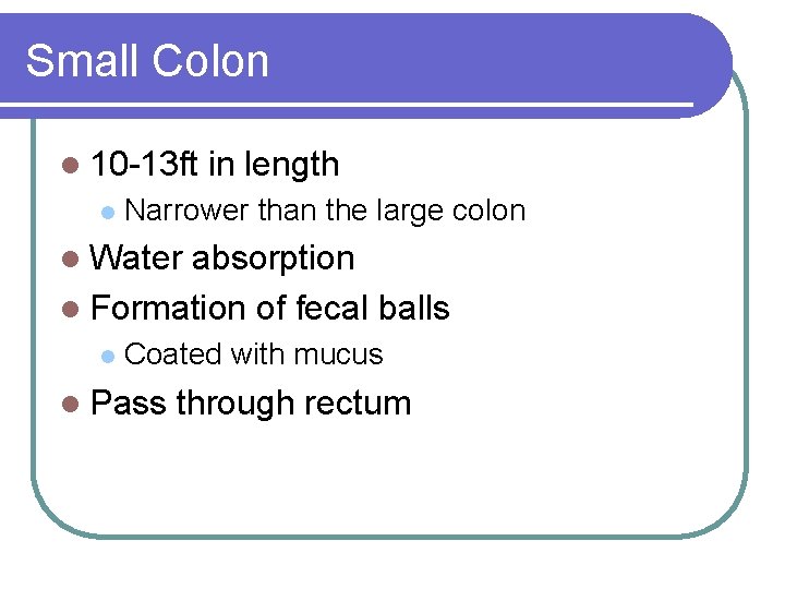 Small Colon l 10 -13 ft l in length Narrower than the large colon