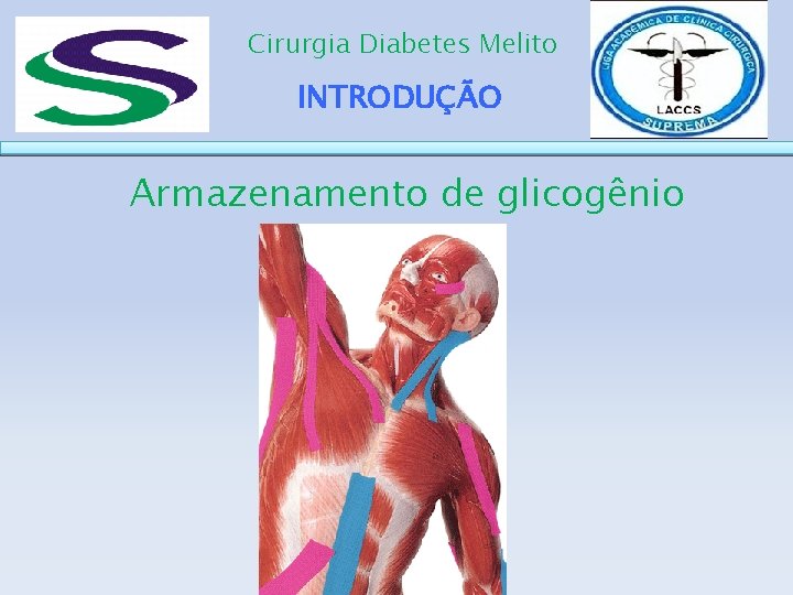 Cirurgia Diabetes Melito INTRODUÇÃO Armazenamento de glicogênio 